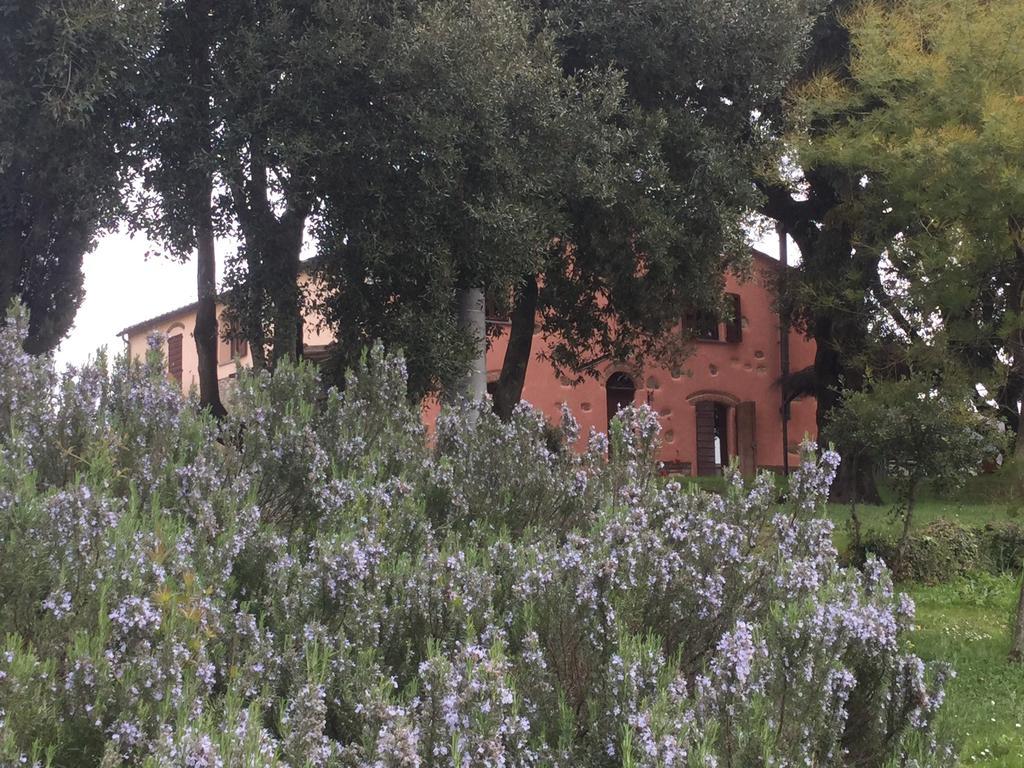 カスタニェート・カルドゥッチ Agriturismo Colle Donatucciゲストハウス エクステリア 写真