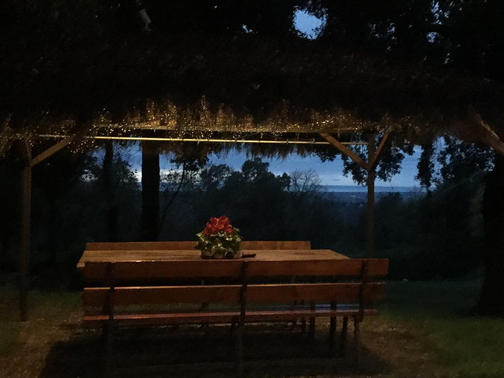 カスタニェート・カルドゥッチ Agriturismo Colle Donatucciゲストハウス エクステリア 写真